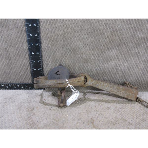 Oneida Victor Single Spring Trap