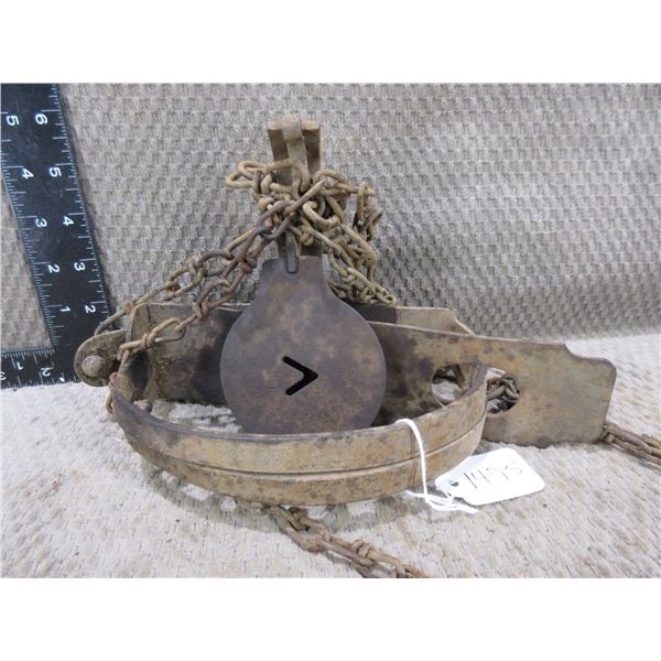 Oneida Victor Single Spring Trap # 14