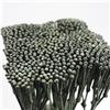 Image 4 : Harry Bertoia untitled (Bush Form)