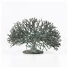 Image 2 : Harry Bertoia untitled (Bush Form)