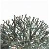 Image 4 : Harry Bertoia untitled (Bush Form)