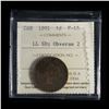 Image 1 : 1891 One Cent - Large Leaves, Small Date