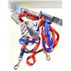 Image 1 : 2 CONTROL COLLAR-2 LEASH BLUE RED . 10-14 INCH