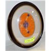 Image 1 : MOOSE HAIR TUFTING IN CONVEX BUBBLE FRAME- 11.5"