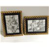 Image 1 : TWO FRAMED ROBERT BROWN PRINTS