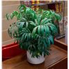 Image 1 : ARTIFICIAL POTTED PLANT APPROX 25" TALL