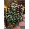 Image 1 : ARTIFICIAL POTTED PLANT 53" TALL