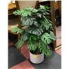 Image 1 : ARTIFICIAL POTTED PLANT 33" TALL