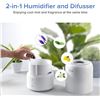 Image 2 : NEW LEVOIT 2 N 1 COOL MIST HUMIDIFIER AND DIFFUSER