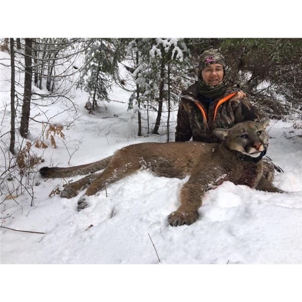 Mike Popp's Nature Adventure