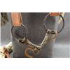 Image 2 : WESTERN BRIDLE AND RAINS