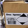 Image 2 : 2 BOXES OF 6 BOTTLES FLASH DASH CITRUS AEROSOL DASH BOARD CLEANER