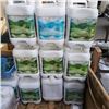 Image 1 : 8 NEW JUGS OF GREEN SKY - FORTIFY LIQUID FERTILIZER SOIL BOOSTER 4 LITERS EACH
