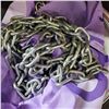 Image 2 : 20 FOOT CHAIN