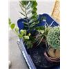 Image 4 : TOTE OF ARTIFICIAL PLANTS AND DECOR