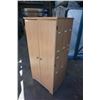 Image 2 : MAPLE FINISH CABINET