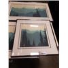 Image 2 : 3 FRAMED PRINTS