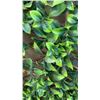 Image 3 : EXPANDING ARTIFICIAL LEAF DIVIDER - TALLEST 34 X 46 INCHES TALL - SHORTEST 92 INCH X 2 FOOT TALL