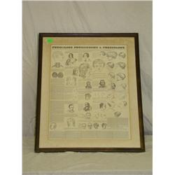 Large Framed Phrenology Print