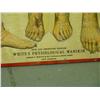 Image 2 : White's Physiological Mannequin