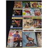 Image 2 : Lot of 19 Wood Carving Magazines