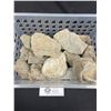 Image 2 : Miscellaneous Lot of Collectible Fossils