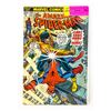 Image 1 : AMAZING SPIDER-MAN #123