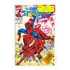 Image 1 : AMAZING SPIDER-MAN - CHAOS IN CALGARY #4