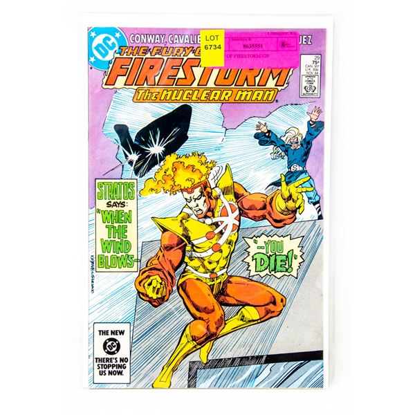 FURY OF FIRESTORM #29