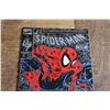 Image 2 : Spiderman 1 Silver Variant