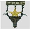 Image 1 : Early Texas GAR suspension badge
