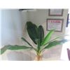 Image 2 : Tall Artificial Potted Plant Tree on Wooden Stand