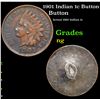 Image 1 : 1901 Indian 1c Button Grades NG