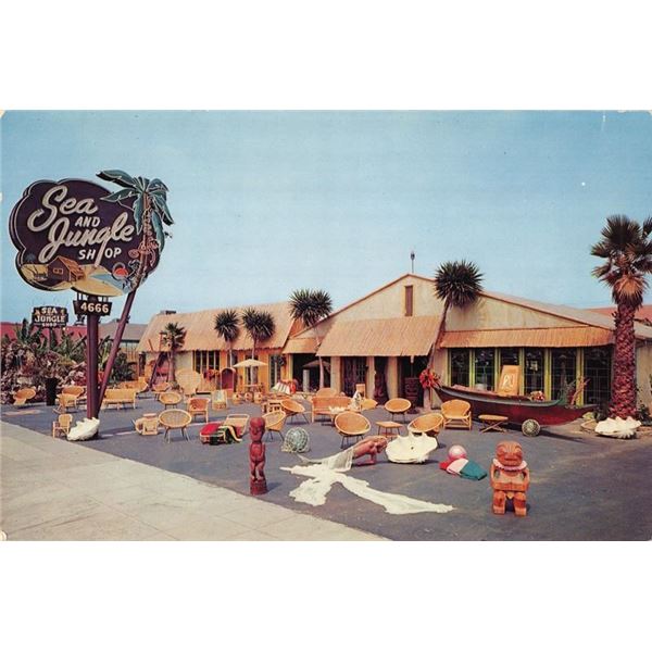 SEA & JUNGLE "GIANT" POSTCARD.