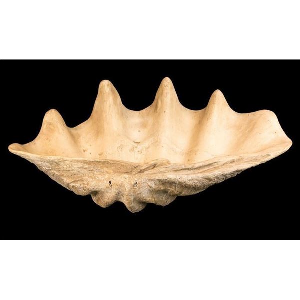 FIBERGLASS GIANT CLAM SHELL PUNCH BOWL.