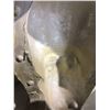 Image 9 : GREY ALIEN from the TWILIGHT ZONE - Prosthetic Head with mold for Nicholai for Grey Alien Pullove