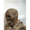 Image 3 : Tortured and Tied Mummified Body