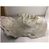 Image 2 : X-MEN 3 - plaster face and neck cast of Geoff Viljoen, character is "Fish"