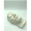 Image 3 : WALKING TALL - plaster face of THE ROCK - Dwayne Johnson