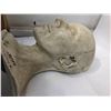 Image 2 : SAVING MILLY - plaster cast of M. Stoew, Head Cast to sculpt eyes