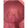 Image 1 : BILL's ALIEN  - plaster  cast mold with mold Max