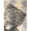 Image 8 : LIME TOWN -  Actor Brody "Generic Man Head" - Mold Max with plaster ban - became friend with Pig