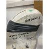 Image 2 : EVIDENCE -  Shark Fin Mold from the Mako Shark