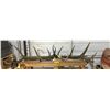 Image 1 : Real El Antlers & Prop deer antlers