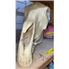 Image 2 : Elk Skull from "Bone Clones"