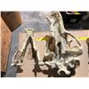 Image 3 : (New) Polar Bear Skull From "Bone Clones"
