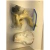 Image 3 : Weasel taxidermy body parts & Bear upper half face