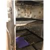Image 3 : Large Special Effects Industry Foam Curing Oven