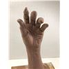 Image 3 : "Yellow Jacket" Clay sculpture of hand wood