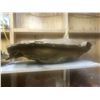 Image 1 : Beaver Fiberglass Mold From "Revenant"